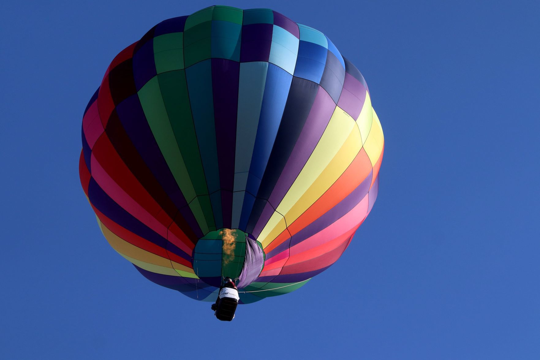 The 46th annual Great Forest Park Balloon Race